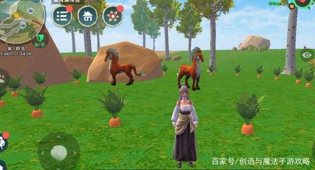 创造与魔法胡萝卜宝库大揭秘,探秘最密集胡萝卜产地