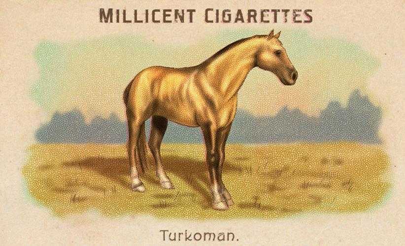 荒野大镖客2如何在第三章白嫖土库曼马