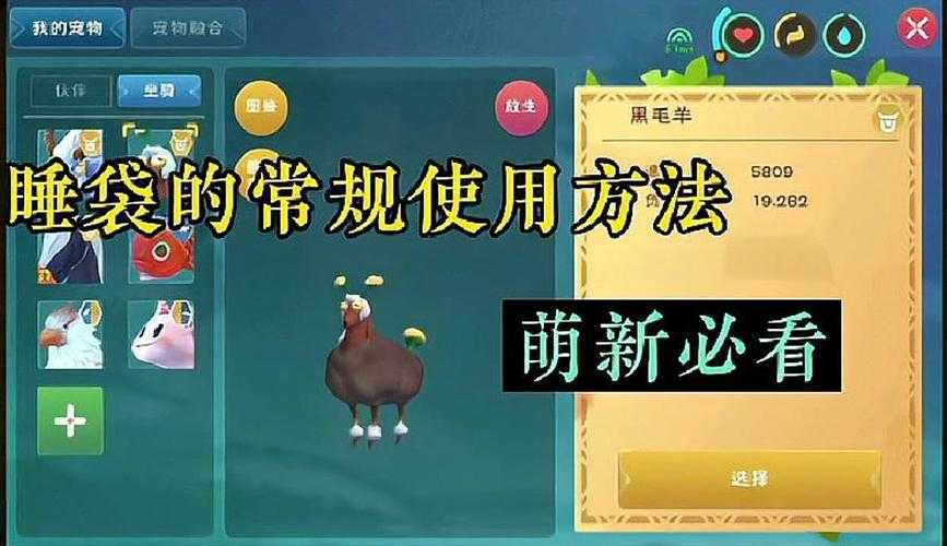 如何才能弄到创造与魔法里那能永久用的睡袋呢，有啥秘密？